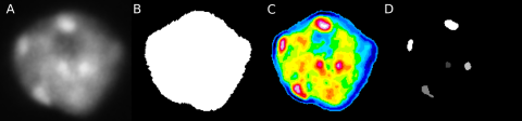 A DAPI-stained nucleus at left, followed by a white segmentation mask, a false-color heatmap, and segmented heterochromatin blocks.