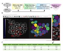 Schematic overview of pipeline and GUI