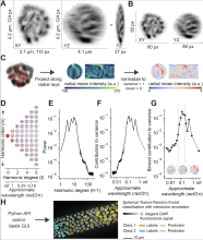 Fig. 2 from reference publication