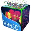 Vaa3D_logo