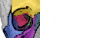 Orbit