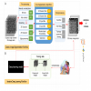 The Allen Cell Structure Segmenter Overview