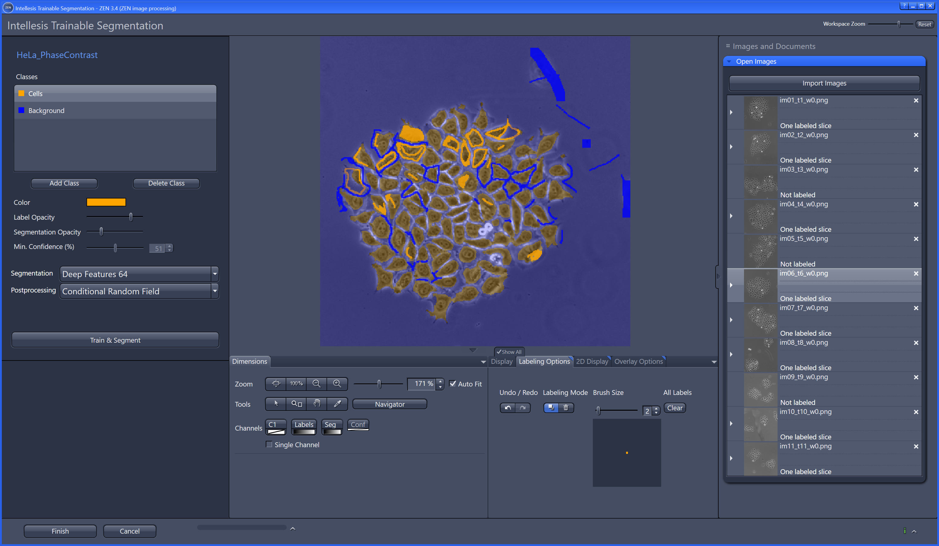 ZEN Intellesis Segmentation - Training UI