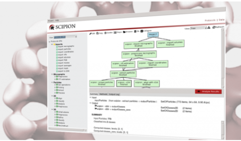 http://scipion.cnb.csic.es/m/home/