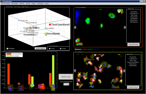 PhenoBrowser