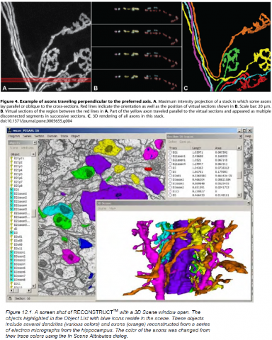 Reconstruct_standaloneapp_example_Results