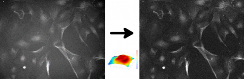 Illumination correction method