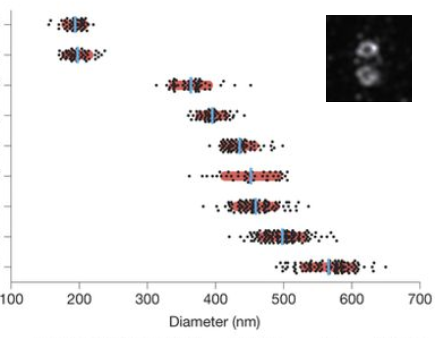 Combined view from Figure 1 Lawo et al.