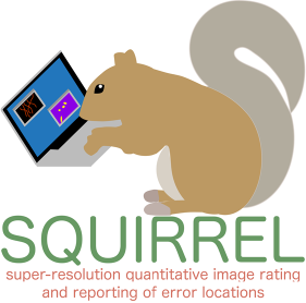 SQUIRREL