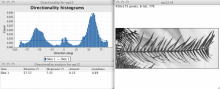 orientation histogram