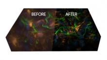Image restoration with AutoQuant
