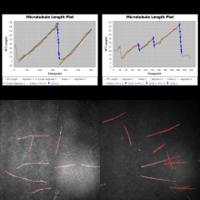 Track Filament shaped objects and analyze tracks using Ransac fits.