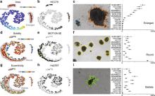 Figure 2 in OrganoSeg Scientific Reports publication