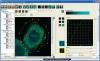 Screen capture of BioImageXD